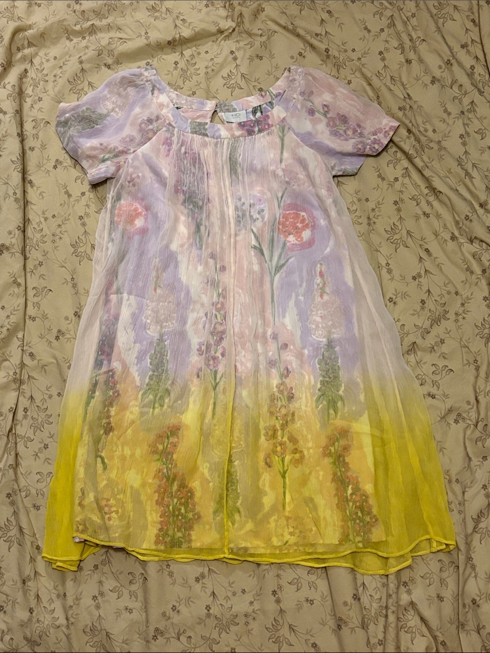 Anthropologie HD in Paris Dipped Chroma Swing Dress